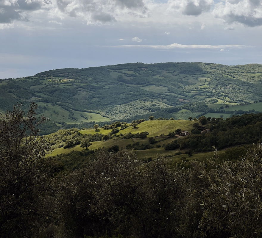 Agriturismo Melodie Toscane