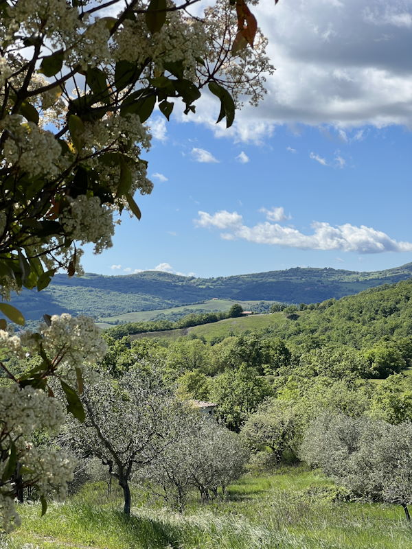 Agriturismo Melodie Toscane